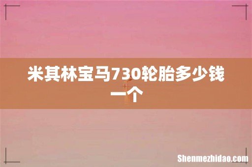 米其林宝马730轮胎多少钱一个
