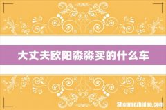 大丈夫欧阳淼淼买的什么车