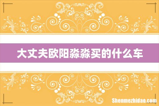 大丈夫欧阳淼淼买的什么车