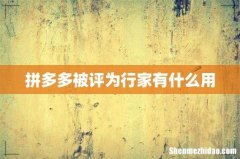 拼多多被评为行家有什么用
