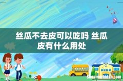 丝瓜不去皮可以吃吗 丝瓜皮有什么用处