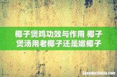椰子煲鸡功效与作用 椰子煲汤用老椰子还是嫩椰子