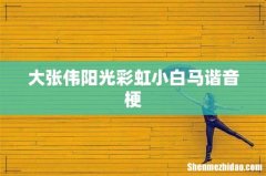 大张伟阳光彩虹小白马谐音梗