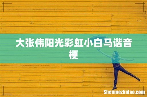 大张伟阳光彩虹小白马谐音梗