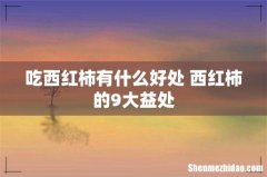 吃西红柿有什么好处 西红柿的9大益处