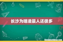 长沙为啥凌晨人还很多
