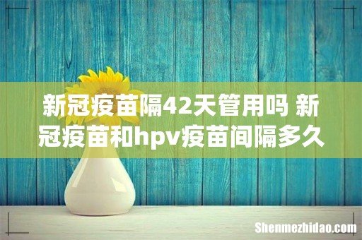 新冠疫苗隔42天管用吗 新冠疫苗和hpv疫苗间隔多久