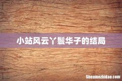 小站风云丫鬟华子的结局