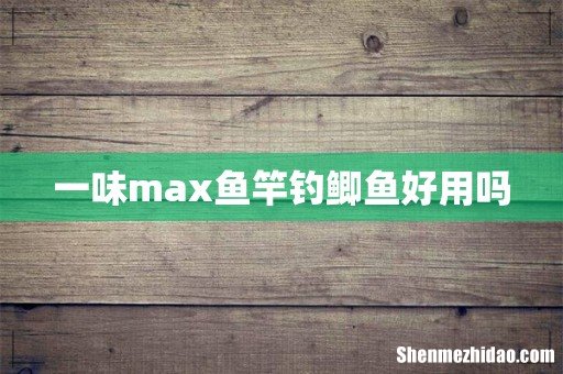 一味max鱼竿钓鲫鱼好用吗