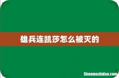 雄兵连凯莎怎么被灭的