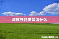藏族独特发音叫什么