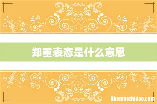 郑重表态是什么意思