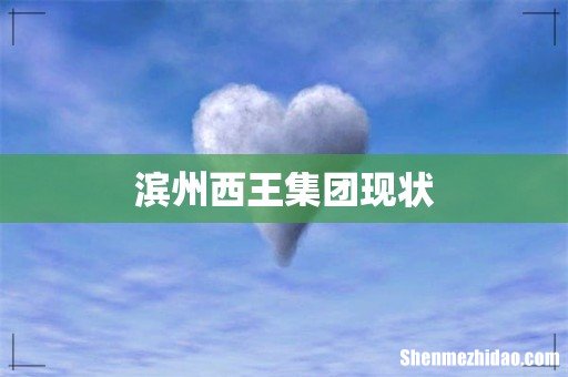 滨州西王集团现状