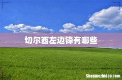 切尔西左边锋有哪些