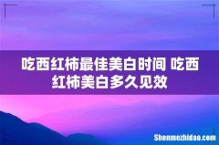 吃西红柿最佳美白时间 吃西红柿美白多久见效