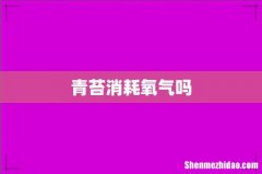 青苔消耗氧气吗