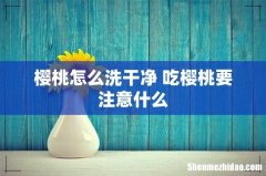 樱桃怎么洗干净 吃樱桃要注意什么