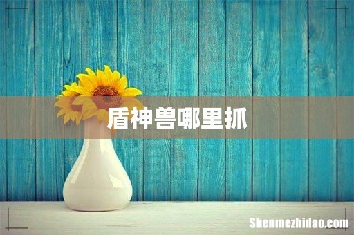 盾神兽哪里抓