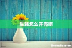 生蚝怎么开壳啊