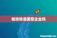 娃哈哈是国营企业吗