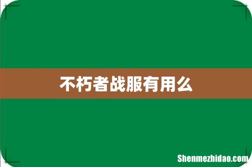 不朽者战服有用么
