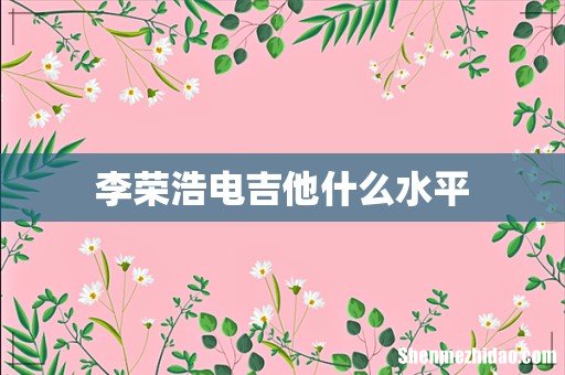 李荣浩电吉他什么水平
