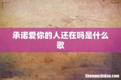 承诺爱你的人还在吗是什么歌