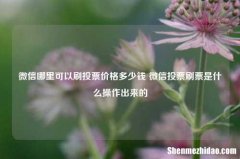 微信哪里可以刷投票价格多少钱 微信投票刷票是什么操作出来的