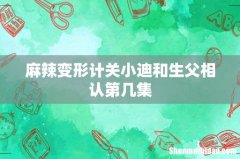 麻辣变形计关小迪和生父相认第几集