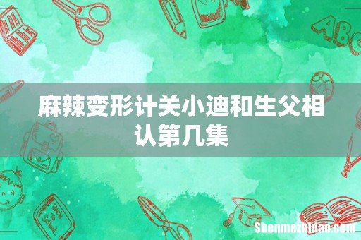 麻辣变形计关小迪和生父相认第几集