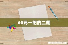 60元一把的二胡