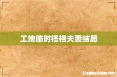 工地临时搭档夫妻结局