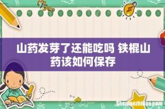 山药发芽了还能吃吗 铁棍山药该如何保存