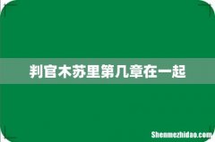 判官木苏里第几章在一起