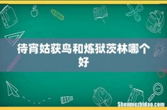 待宵姑获鸟和炼狱茨林哪个好