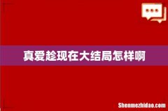 真爱趁现在大结局怎样啊