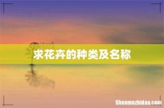 求花卉的种类及名称