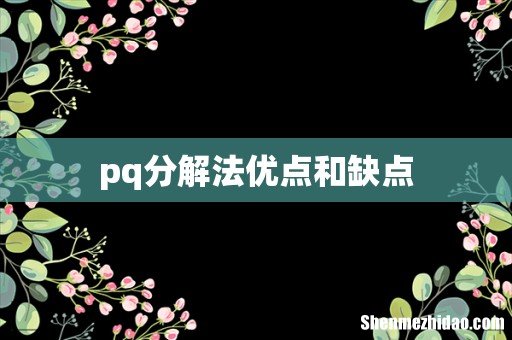 pq分解法优点和缺点
