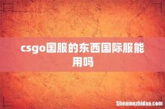csgo国服的东西国际服能用吗
