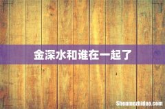 金深水和谁在一起了