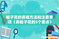 养栀子花的5个要点 栀子花的养殖方法和注意事项