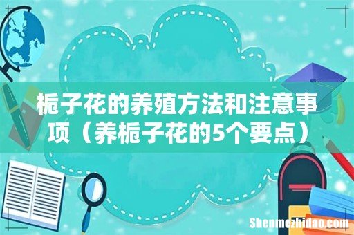 养栀子花的5个要点 栀子花的养殖方法和注意事项