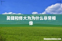 吴健和佟大为为什么非常相像