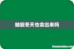 蚰蜒冬天也会出来吗