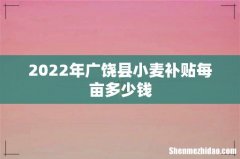 2022年广饶县小麦补贴每亩多少钱