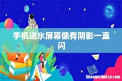 手机进水屏幕像有阴影一直闪