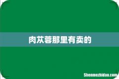 肉苁蓉那里有卖的