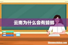云南为什么会有蟑螂