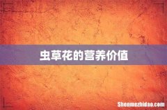 虫草花的营养价值