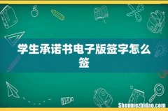 学生承诺书电子版签字怎么签